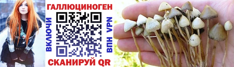 блэк спрут сайт  площадка Telegram  Галлюциногенные грибы Psilocybe  Иноземцево 